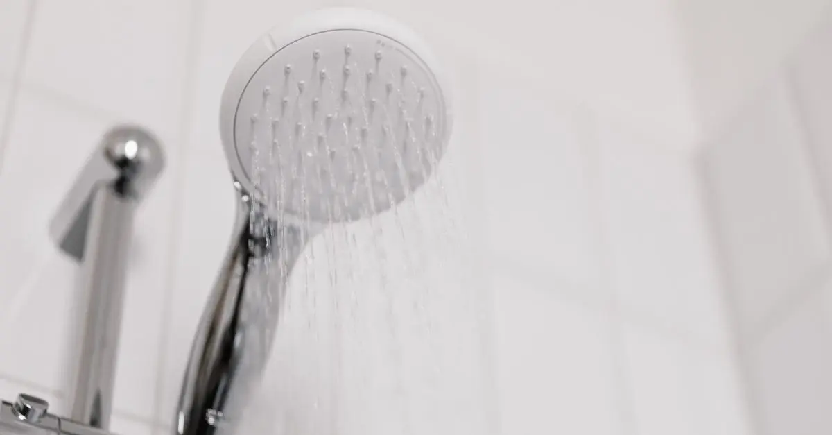 Analyse : Les avantages des pommeaux de douche économiques